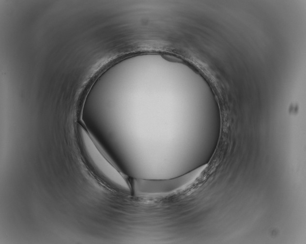 X0000097750060200803281620