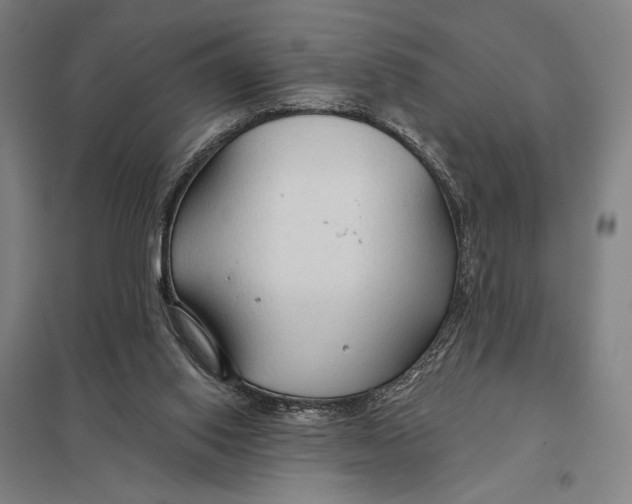 X0000097750062200803281620