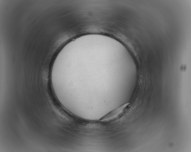 X0000097750063200803281620