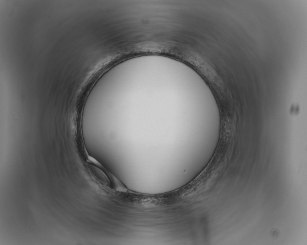 X0000097750064200803281620