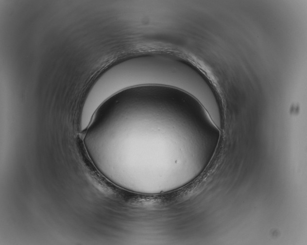 X0000097750065200803281620