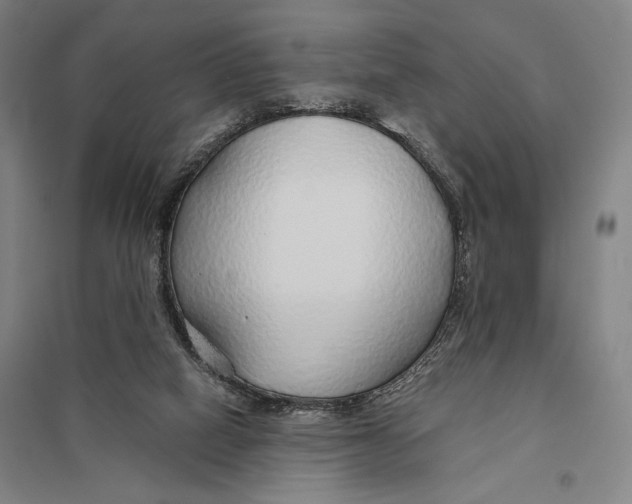 X0000097750066200803281620