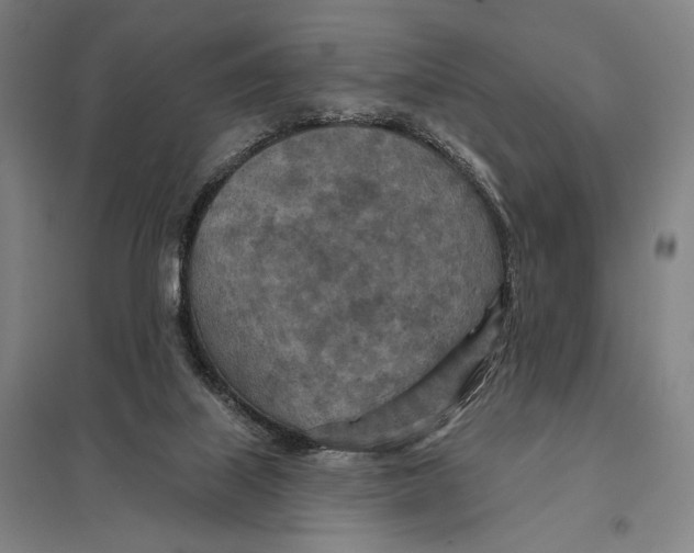 X0000097750067200803281620