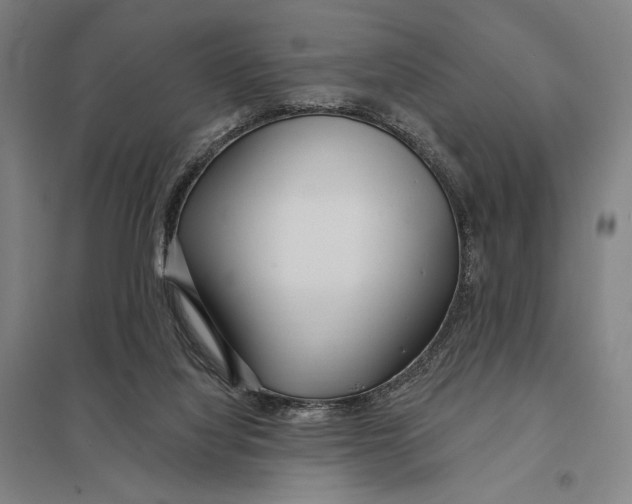 X0000097750068200803281620