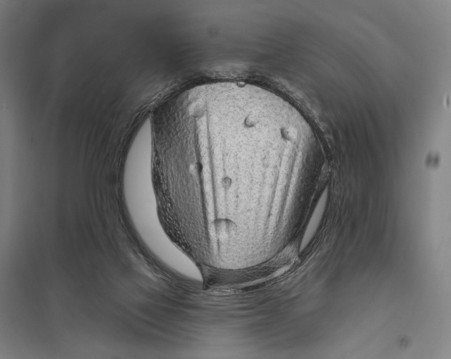 X0000097750069200803281620