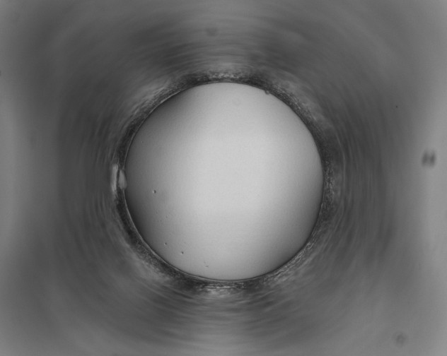 X0000097750070200803281620