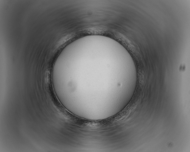 X0000097750071200803281620