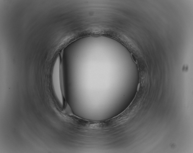 X0000097750072200803281620