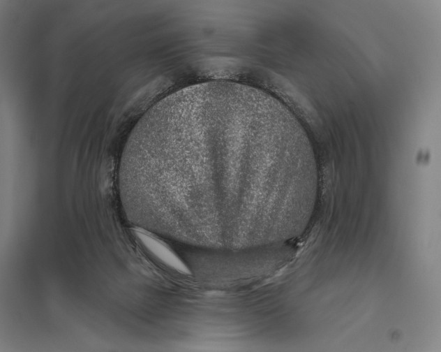 X0000097750073200803281620