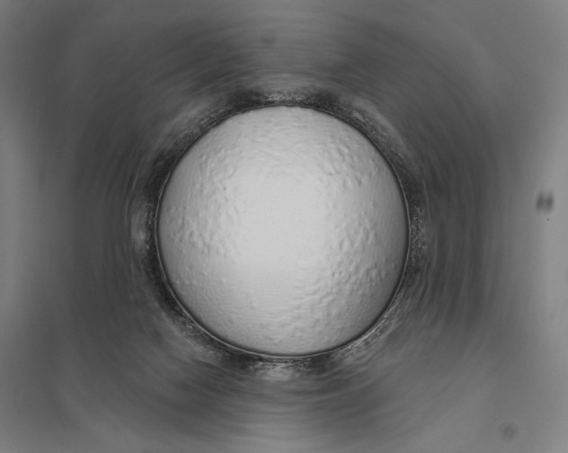 X0000097750074200803281620