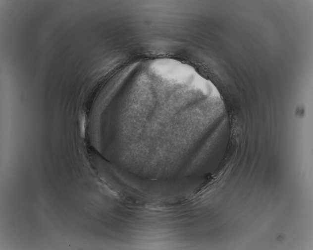 X0000097750076200803281620