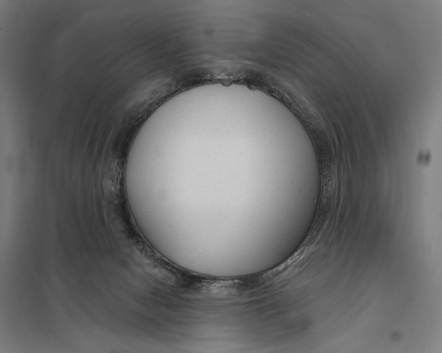 X0000097750078200803281620