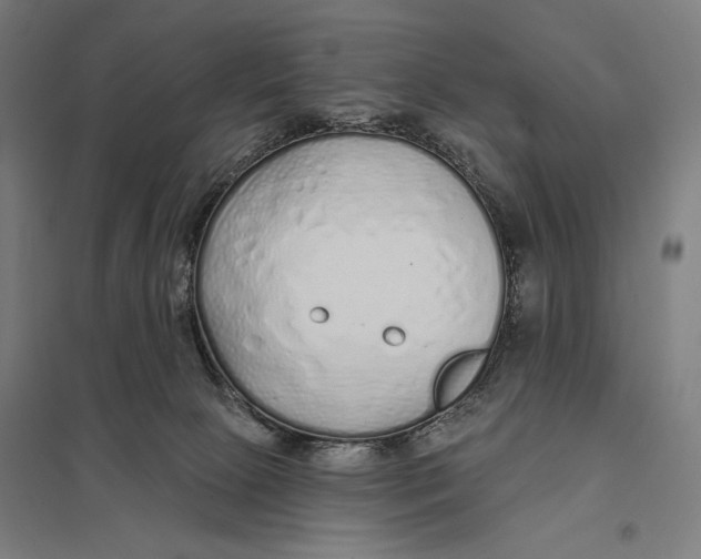 X0000097750081200803281620