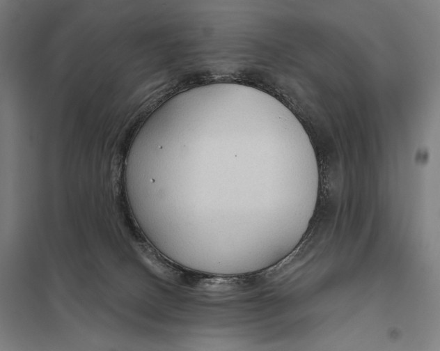 X0000097750082200803281620