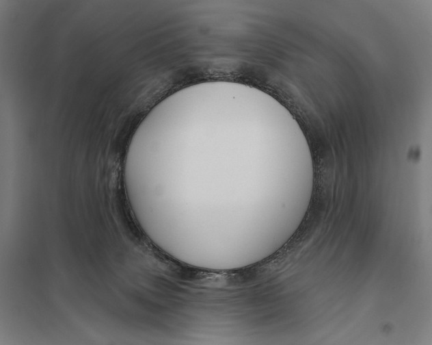 X0000097750083200803281620