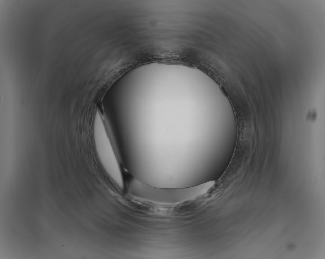 X0000097750084200803281620