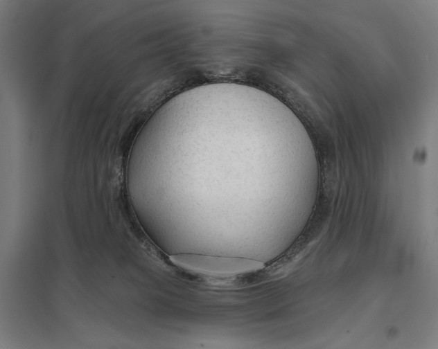 X0000097750085200803281620