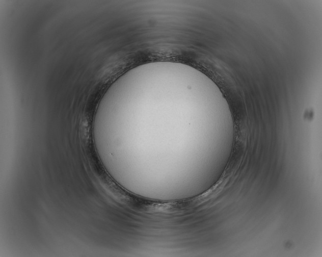 X0000097750086200803281620