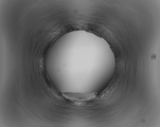 X0000097750088200803281620