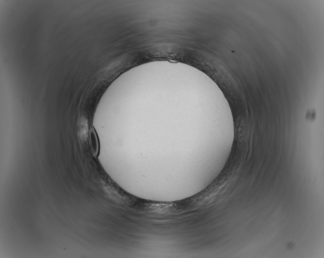 X0000097750089200803281620