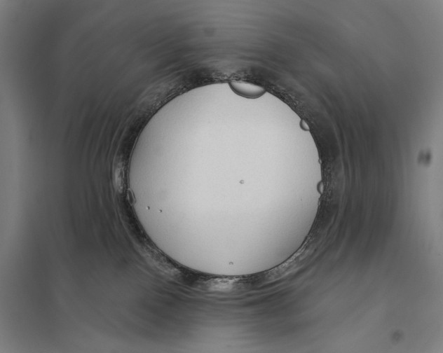 X0000097750090200803281620