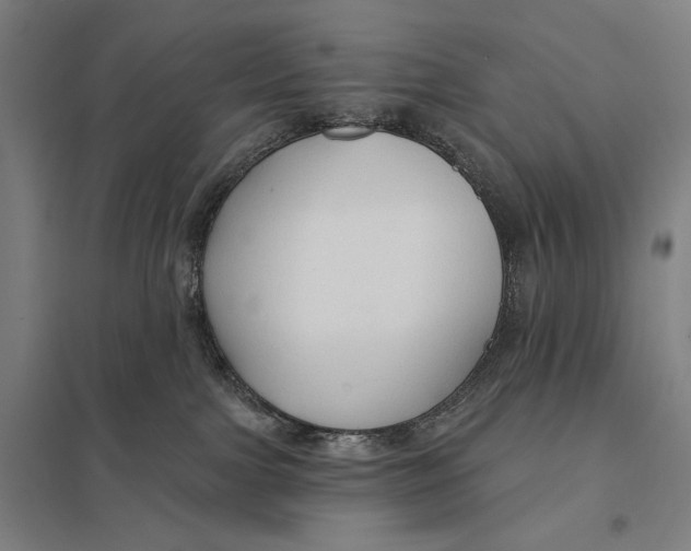 X0000097750091200803281620