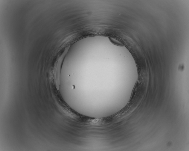 X0000097750092200803281620