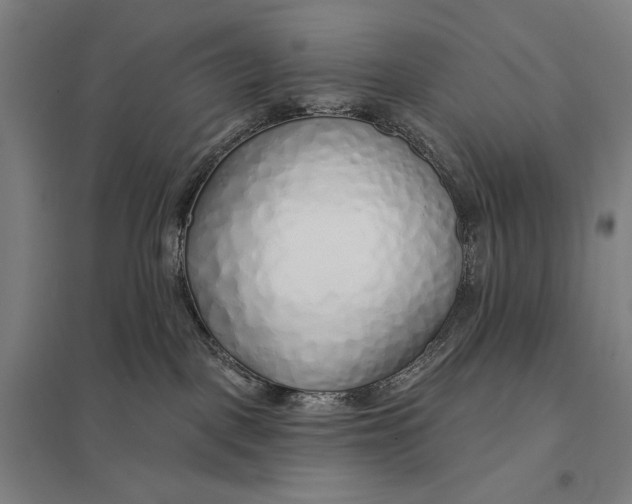 X0000097750093200803281620