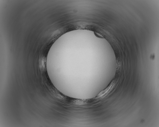 X0000097750094200803281620