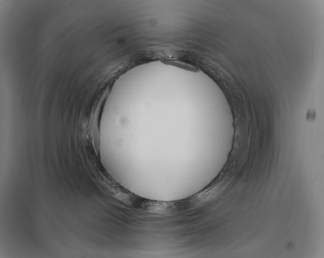 X0000097750096200803281620