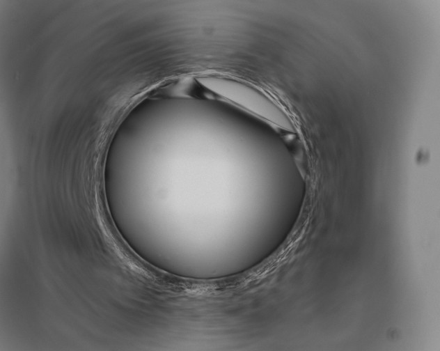 X0000097750097200803281620