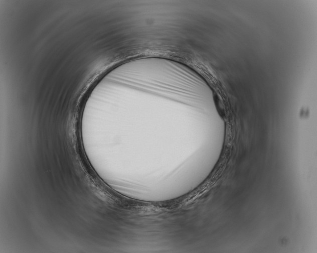 X0000097750098200803281620