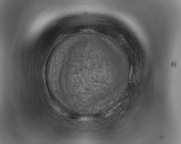 X0000097750099200803281620