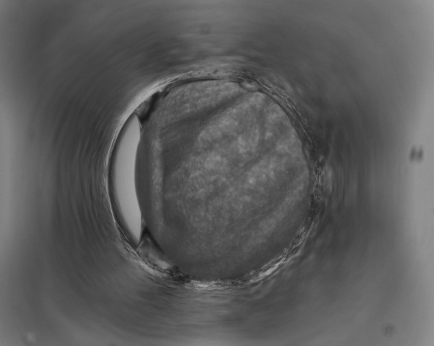 X0000097750100200803281620