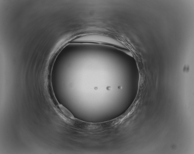 X0000097750101200803281620