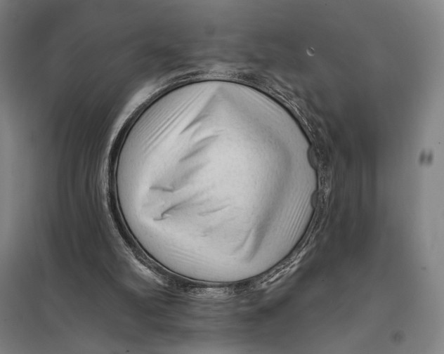 X0000097750102200803281620