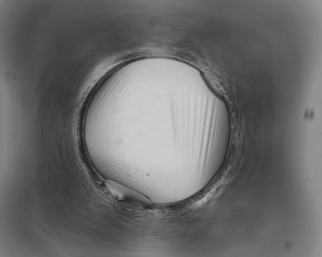 X0000097750103200803281620