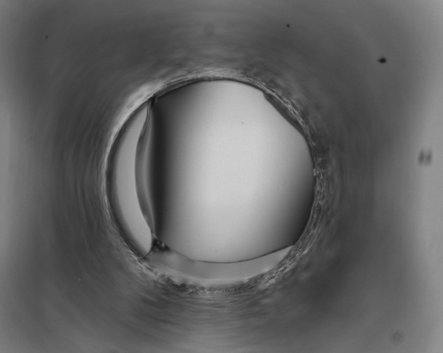 X0000097750104200803281620