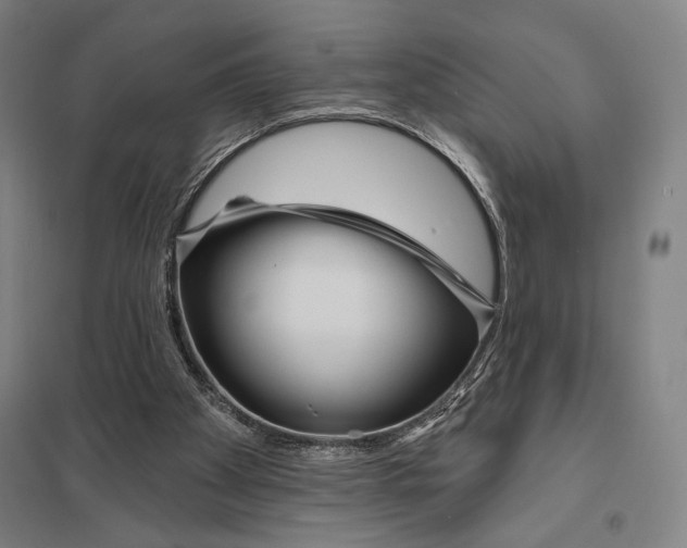 X0000097750105200803281620