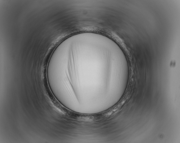 X0000097750106200803281619