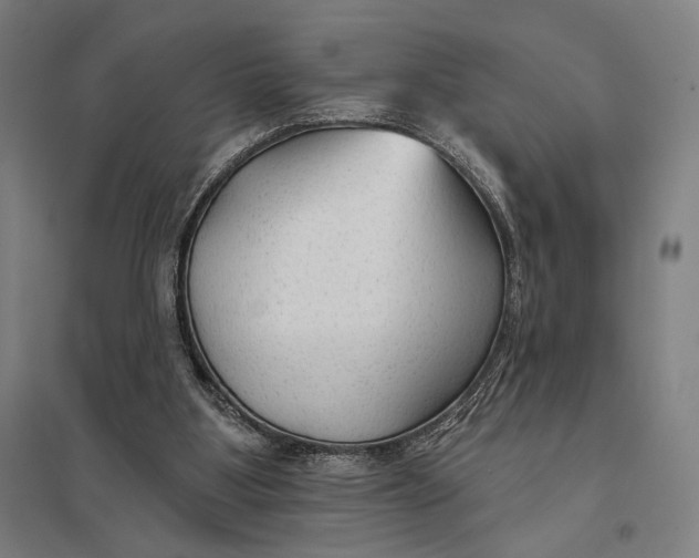 X0000097750107200803281619