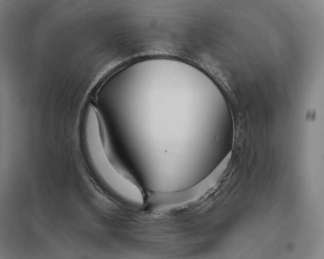 X0000097750108200803281619