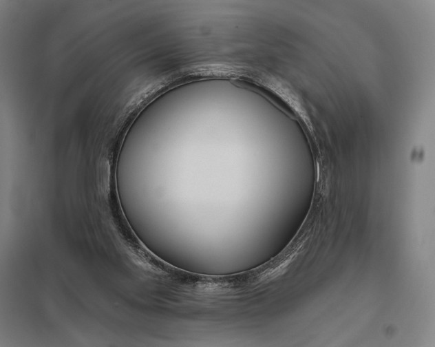 X0000097750109200803281619