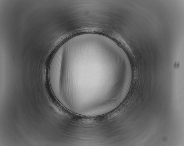 X0000097750110200803281619