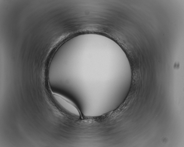 X0000097750112200803281619