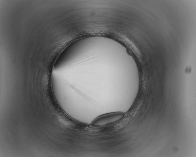 X0000097750113200803281619