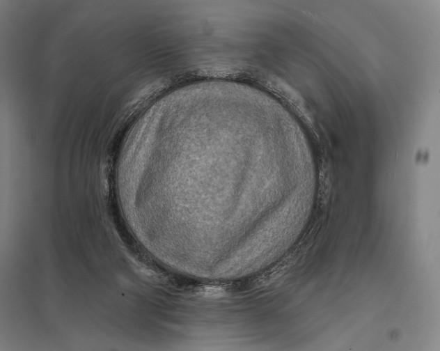 X0000097750114200803281619