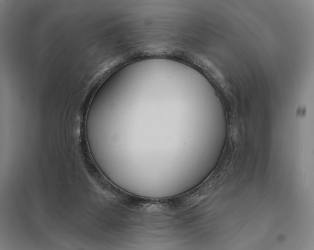 X0000097750115200803281619