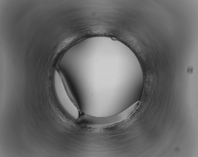 X0000097750116200803281619