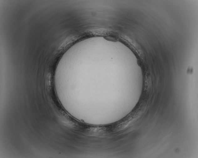 X0000097750117200803281619